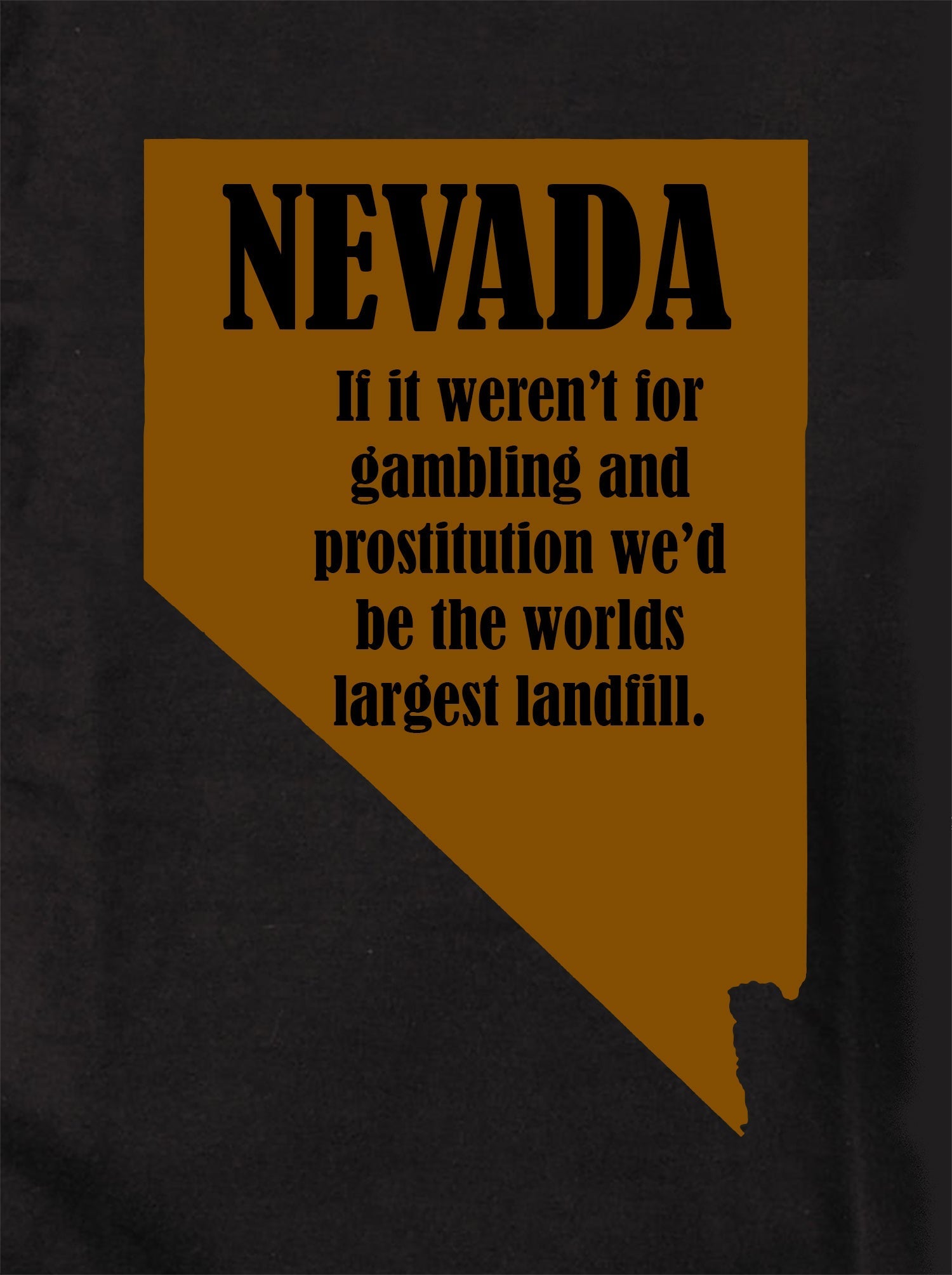 Nevada: If it weren’t for gambling and prostitution Kids T-Shirt
