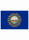 New Hampshire State Flag Kids T-Shirt