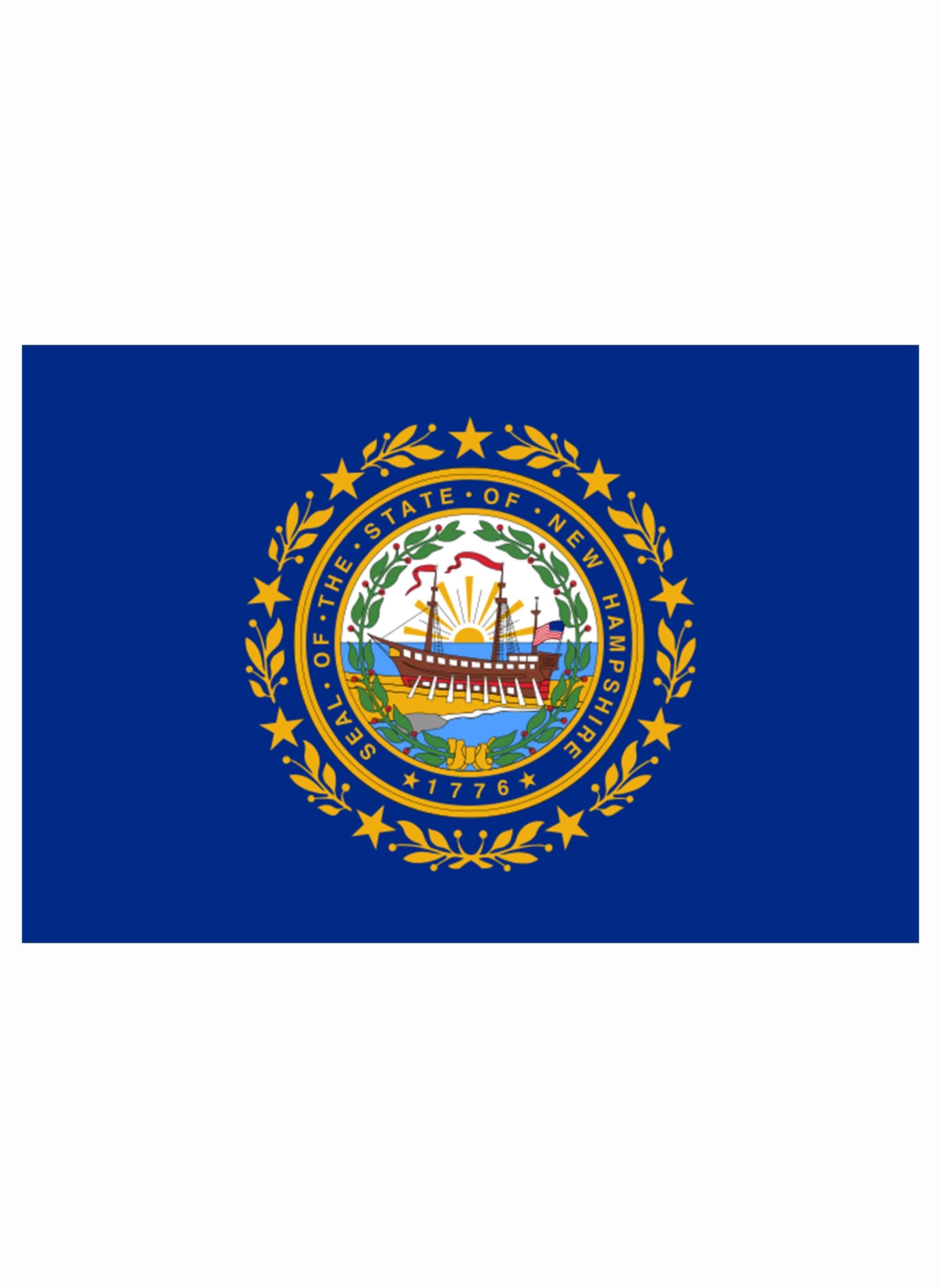 New Hampshire State Flag Kids T-Shirt