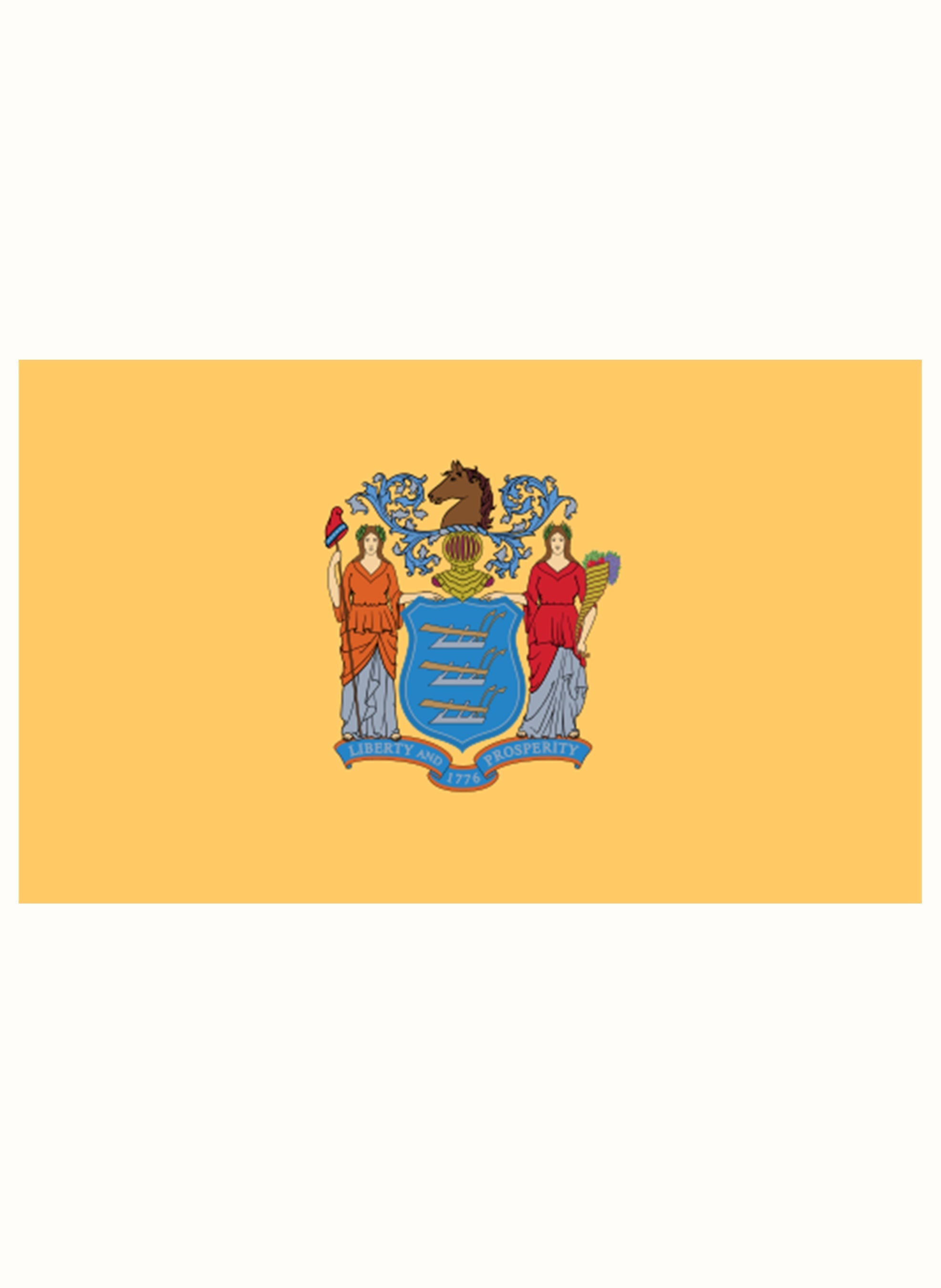 New Jersey State Flag Kids T-Shirt