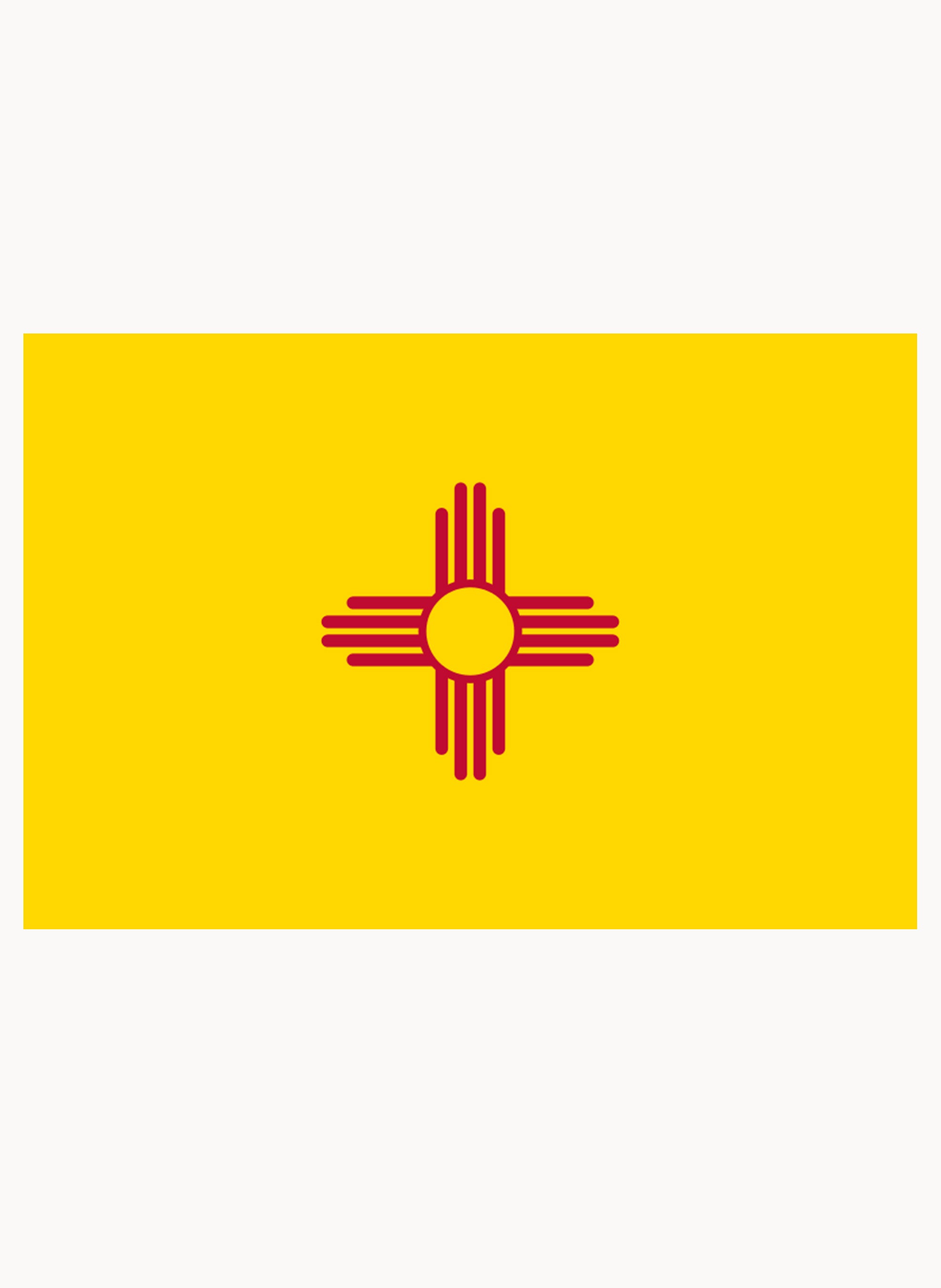 New Mexico State Flag Kids T-Shirt