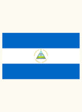 Nicaraguan Flag Kids T-Shirt
