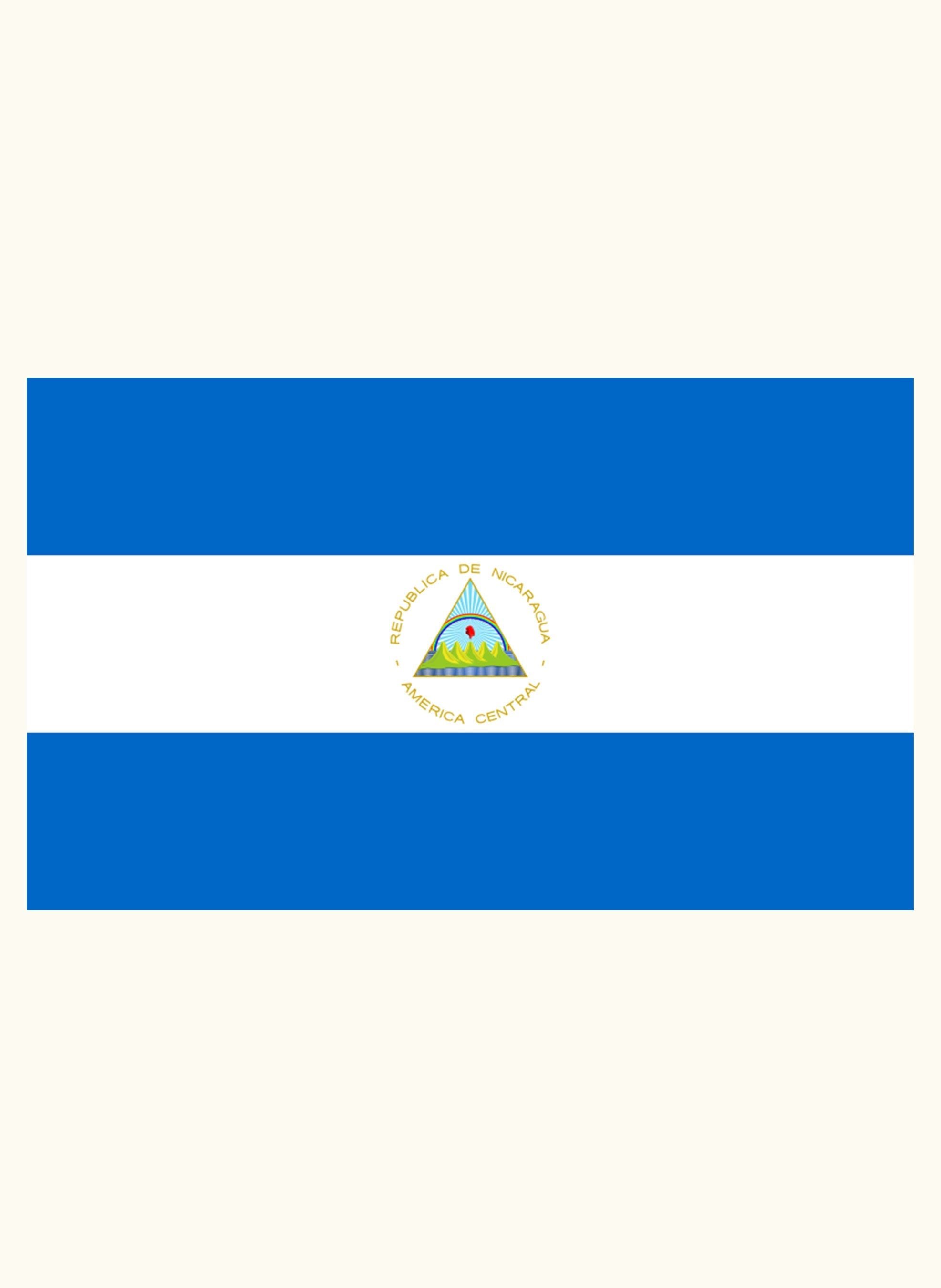 Nicaraguan Flag Kids T-Shirt
