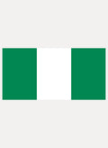 Nigerian Flag Kids T-Shirt