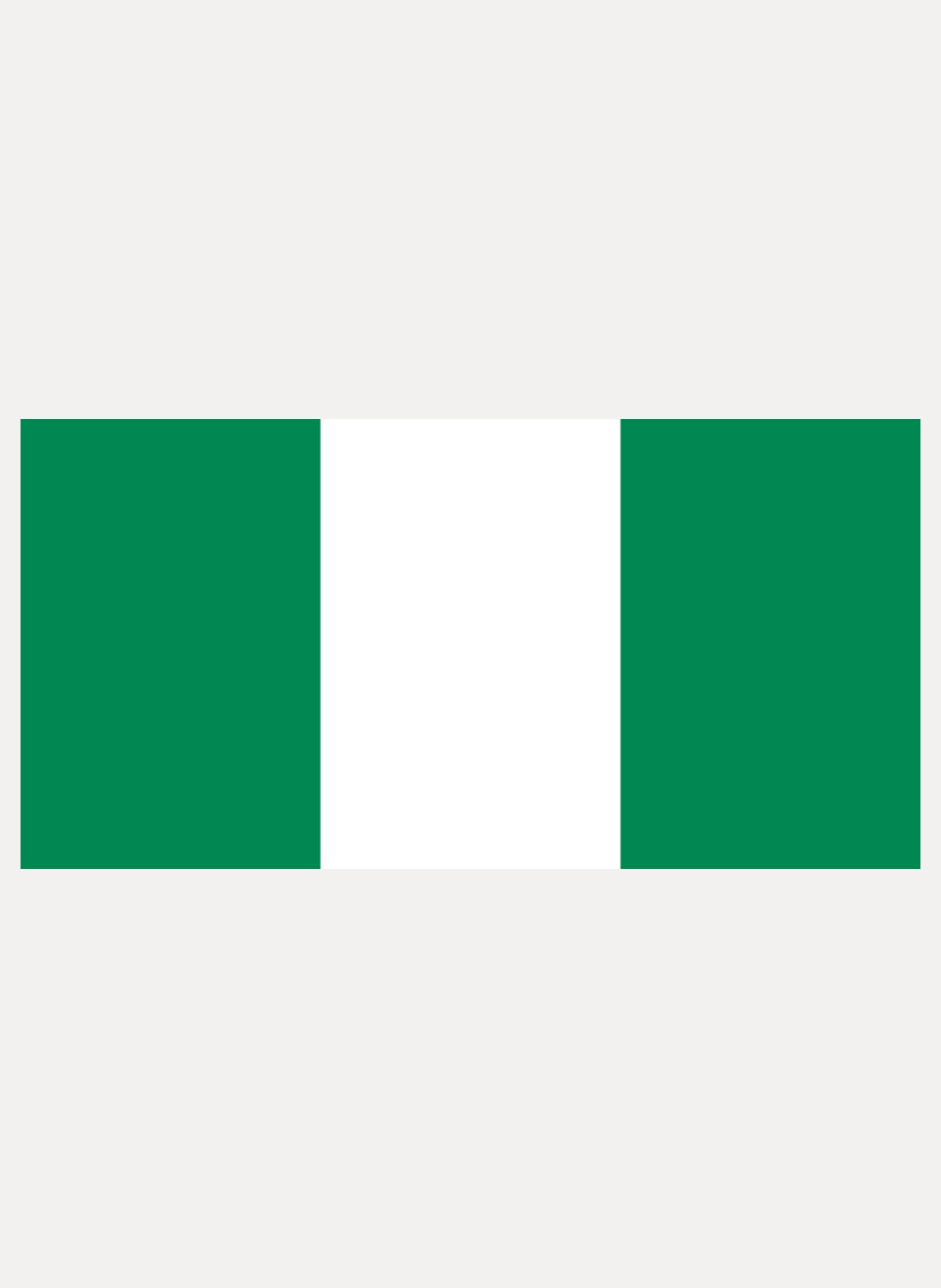 Nigerian Flag Kids T-Shirt