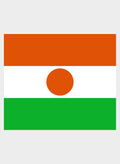 Nigerien Flag Kids T-Shirt