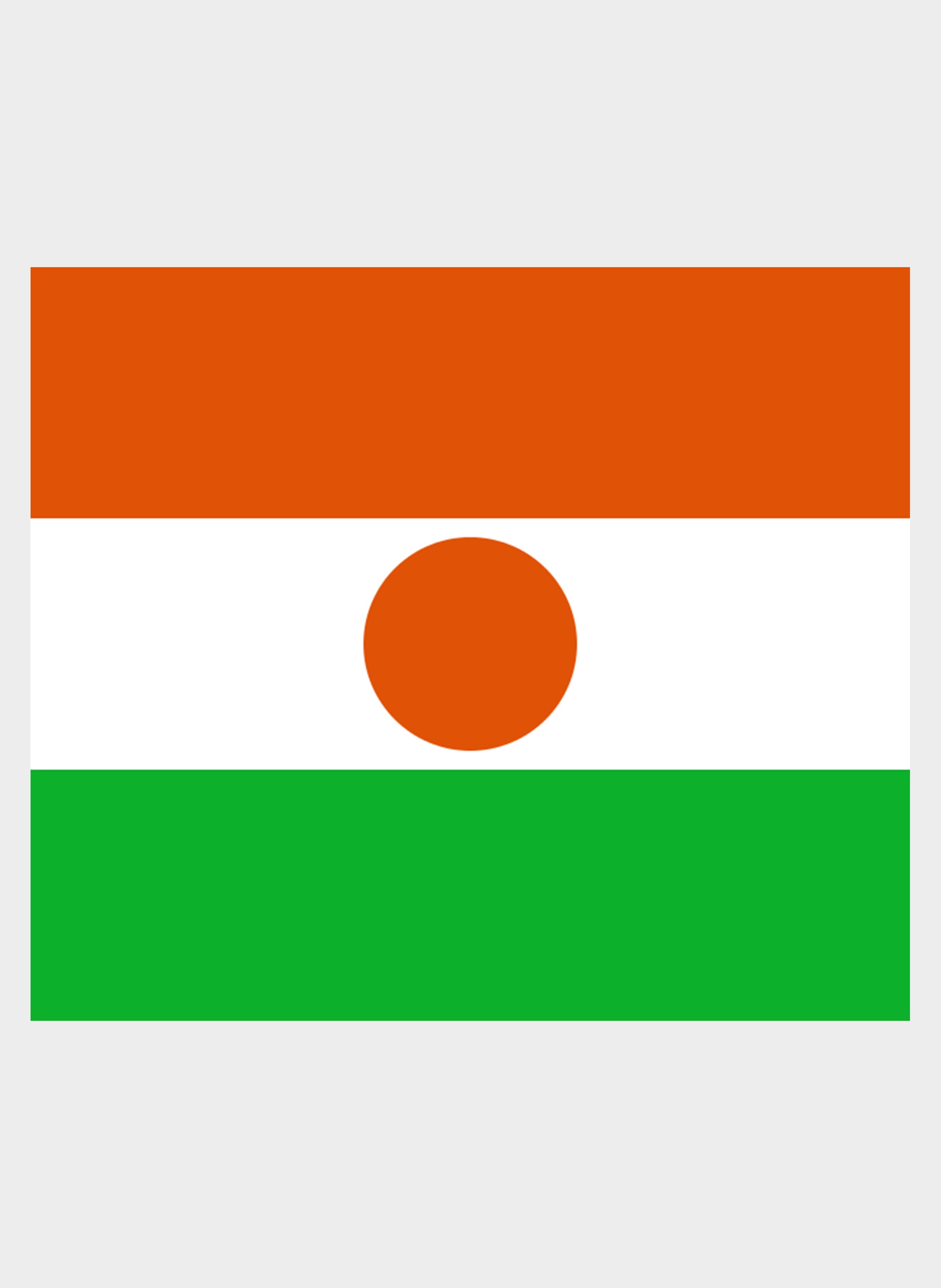 Nigerien Flag Kids T-Shirt