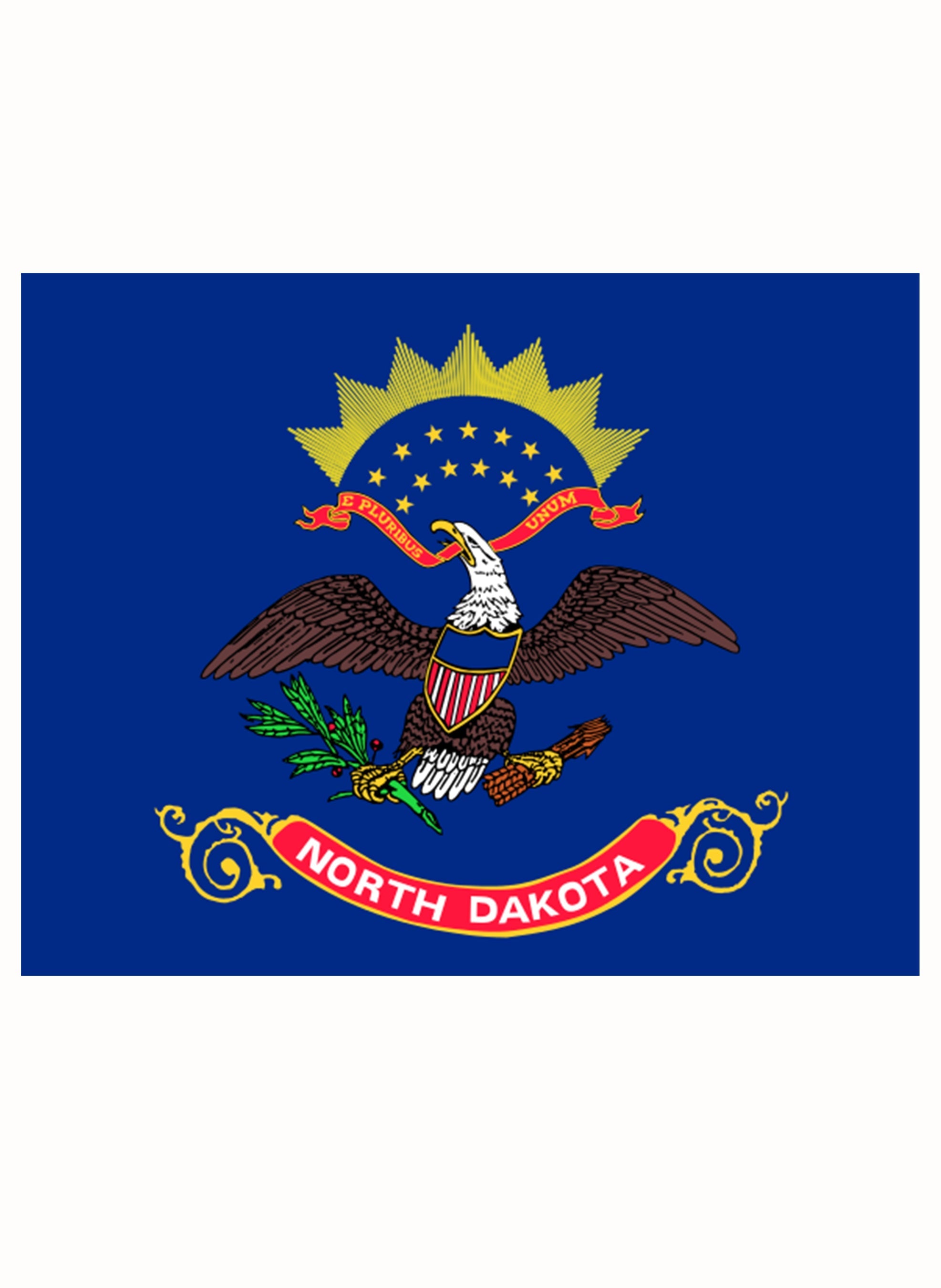 North Dakota State Flag Kids T-Shirt