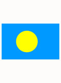 Palauan Flag Kids T-Shirt