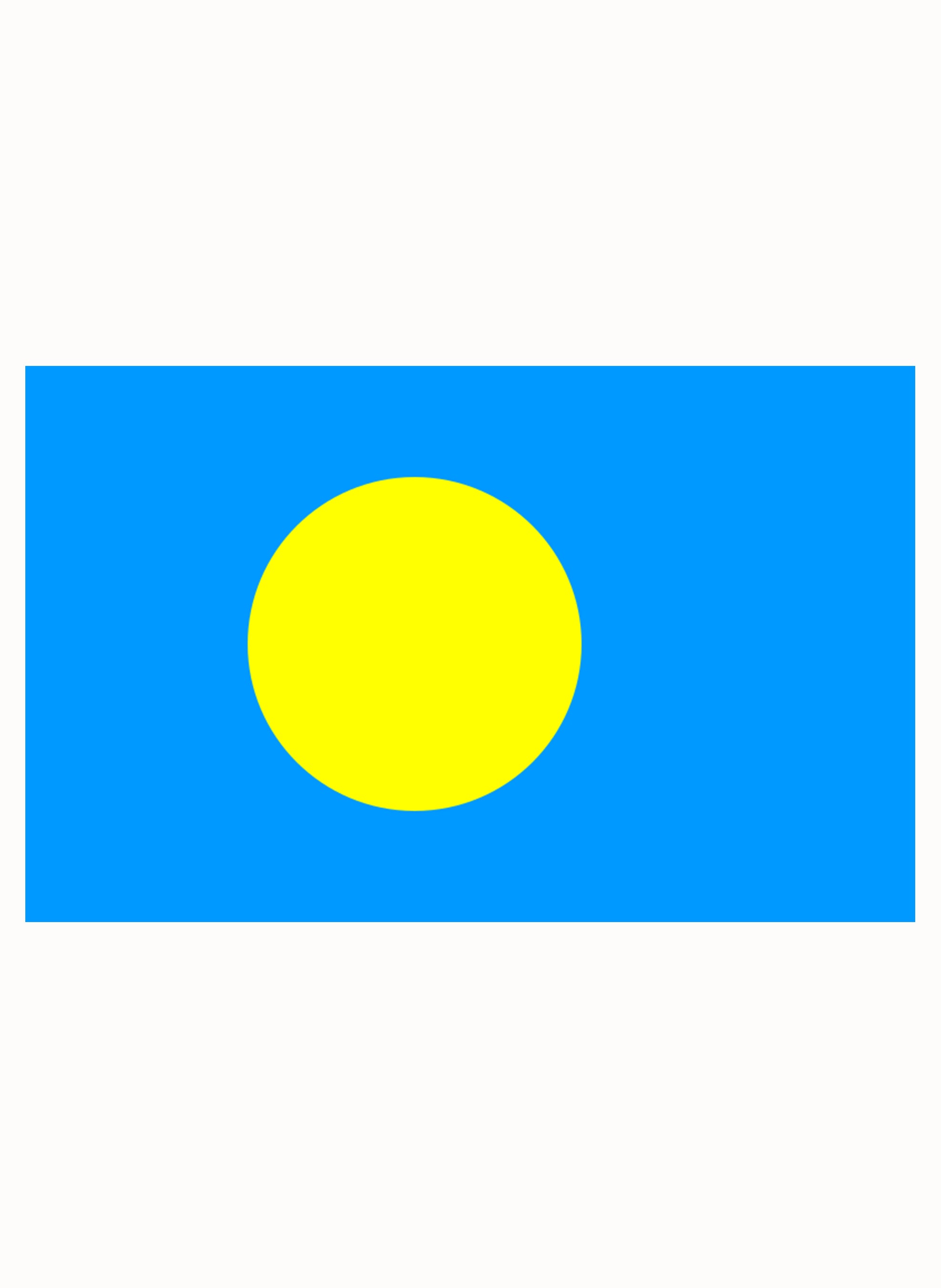 Palauan Flag Kids T-Shirt