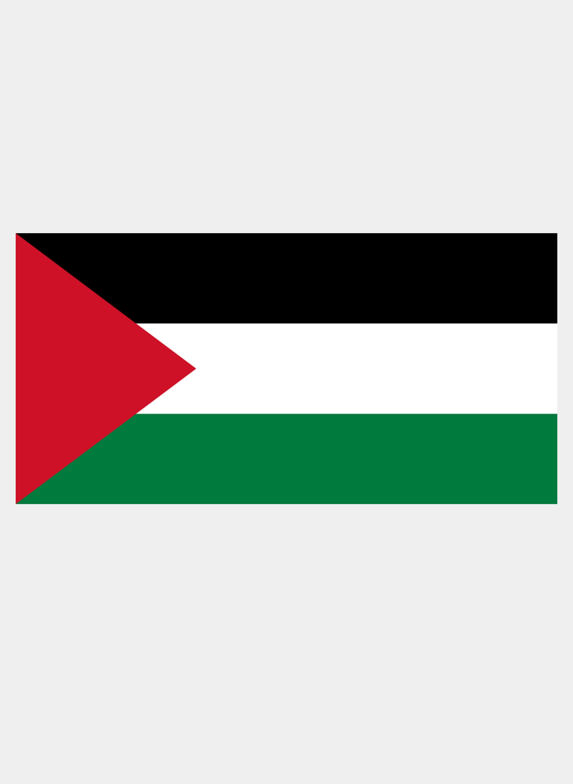 Palestinian Flag Kids T-Shirt