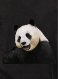 Panda Kids T-Shirt