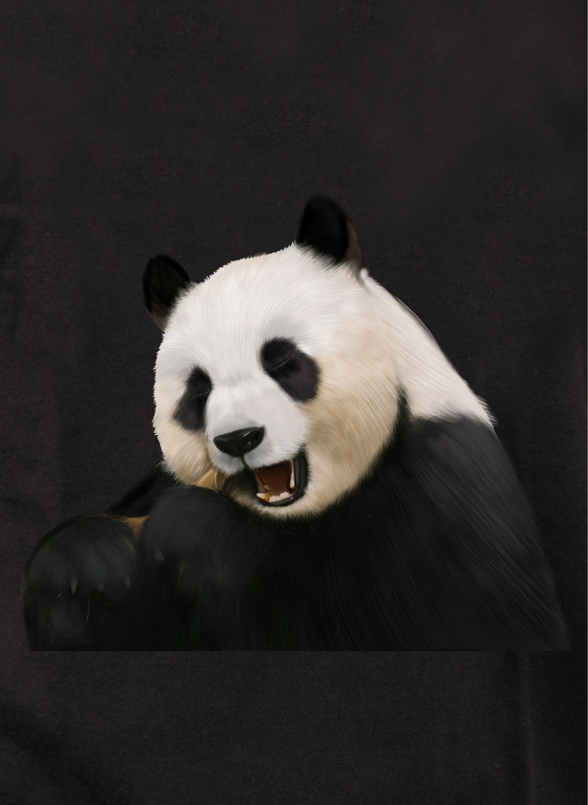 Panda Kids T-Shirt