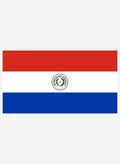 Paraguayan Flag Kids T-Shirt