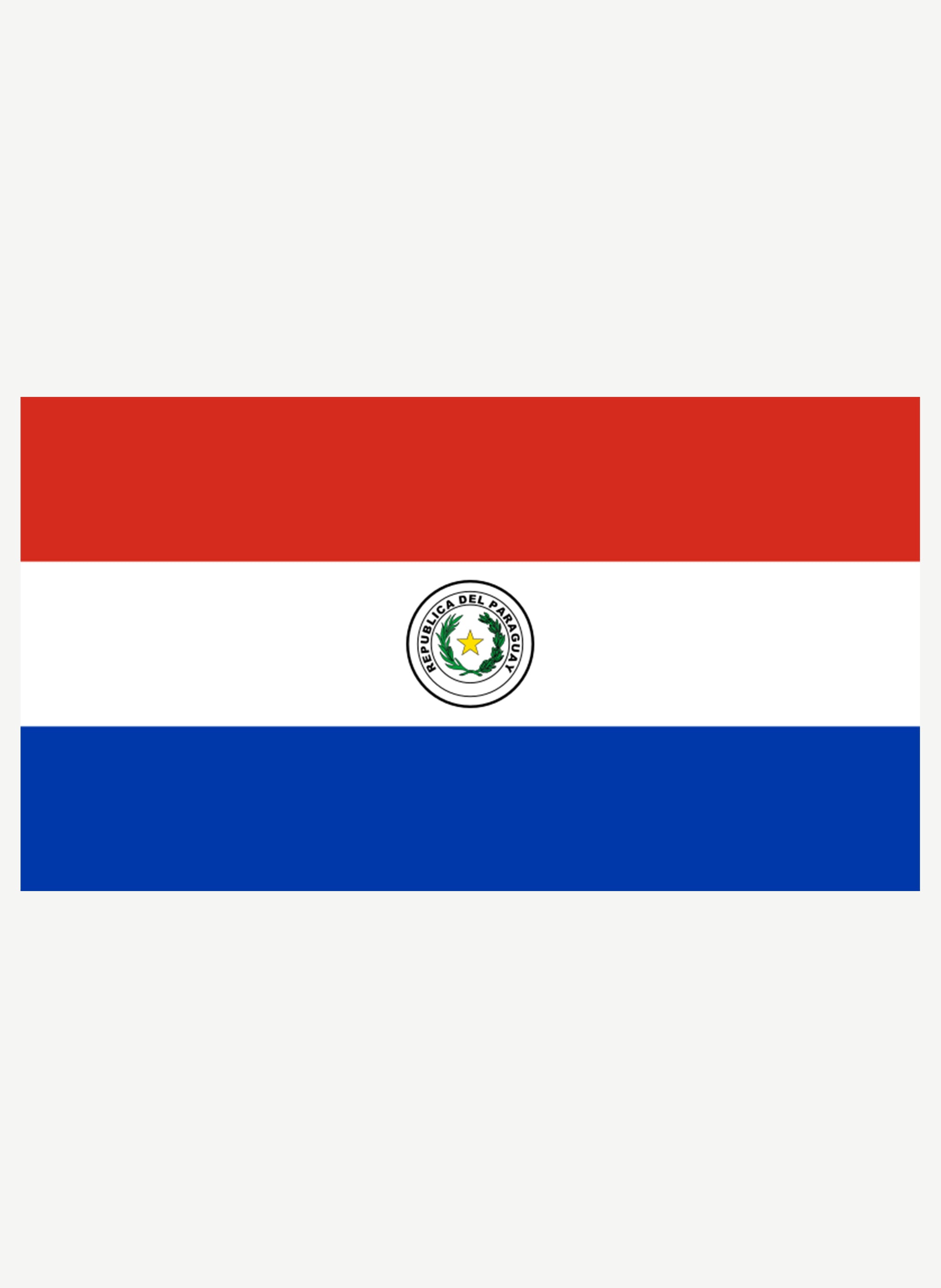 Paraguayan Flag Kids T-Shirt