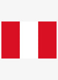 Peruvian Flag Kids T-Shirt