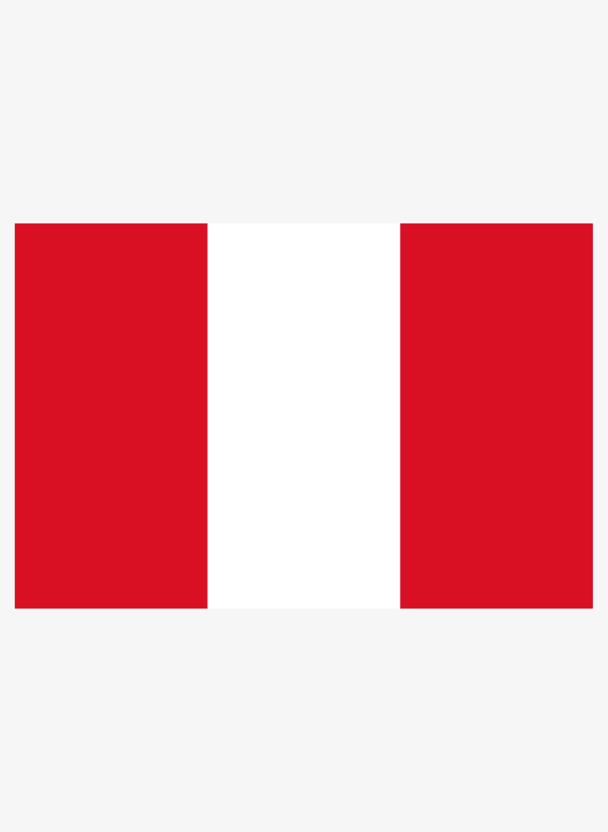 Peruvian Flag Kids T-Shirt