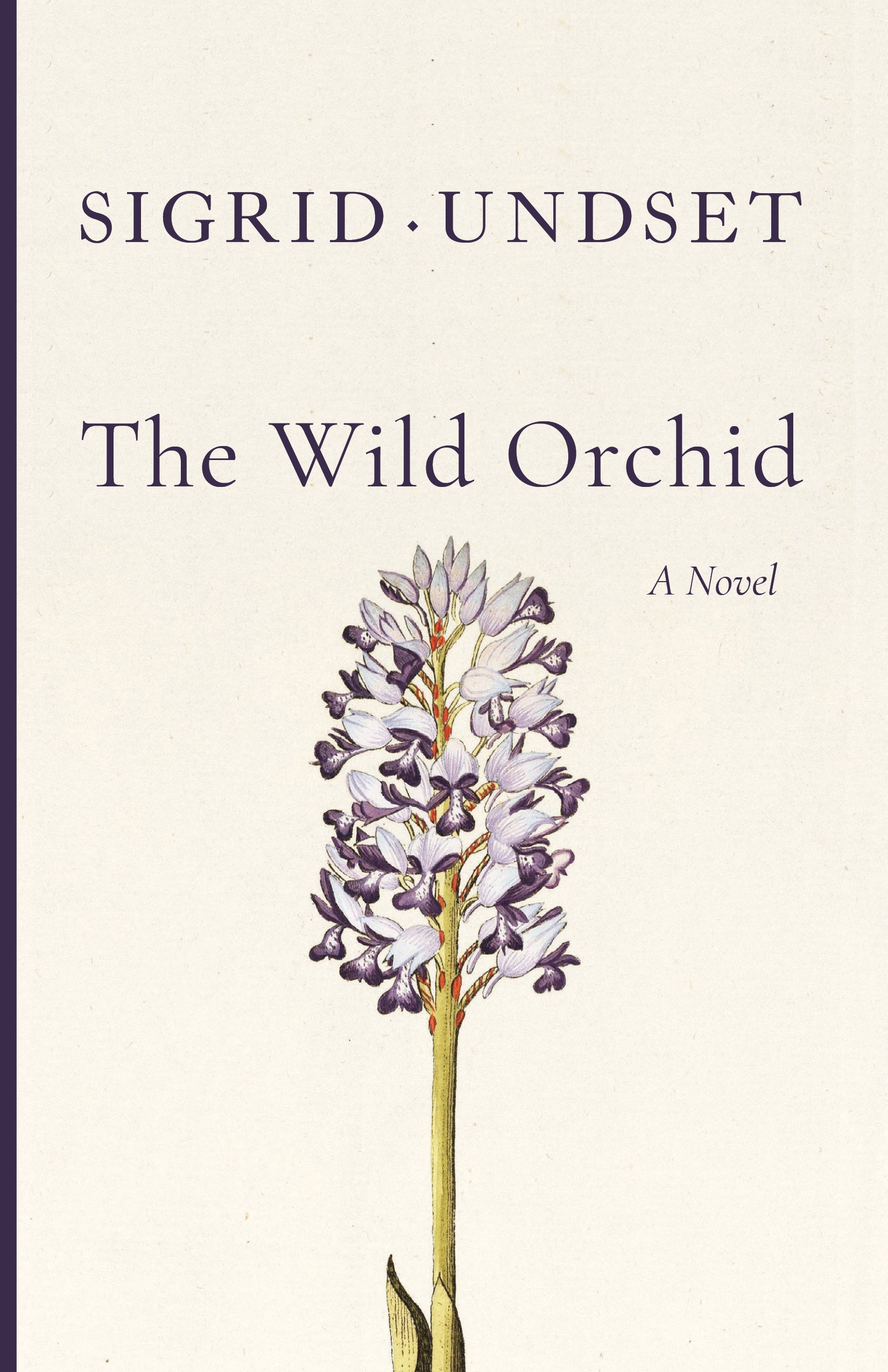 The Wild Orchid