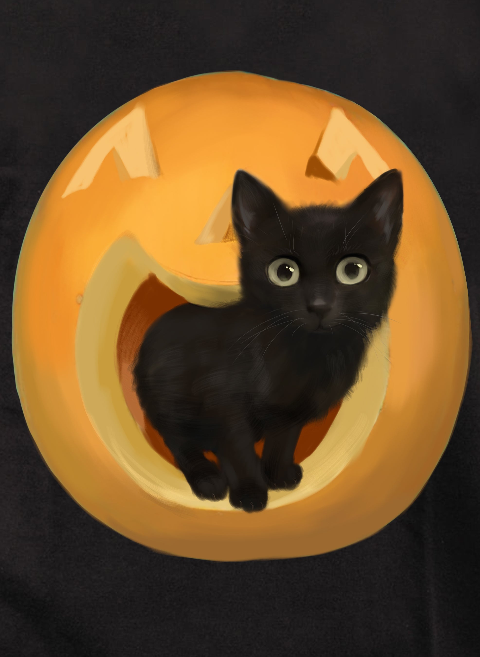 Pumpkin Cat T-Shirt