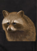 Raccoon Kids T-Shirt