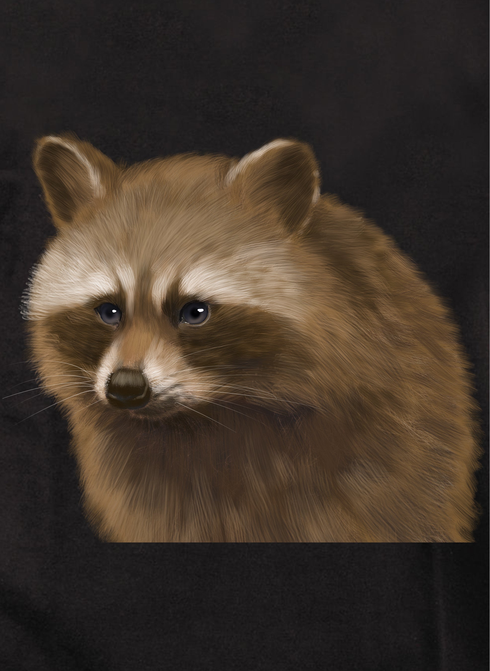Raccoon Kids T-Shirt