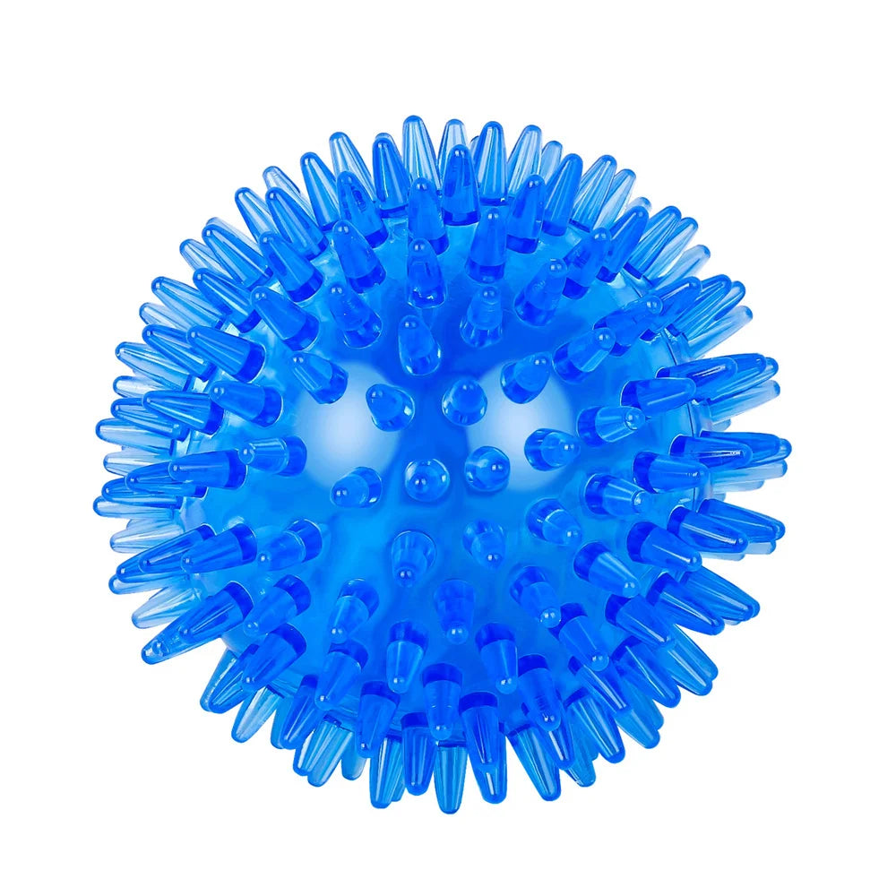 TPR Squeaky Thorn Chew Ball for Dogs & Cats — Teeth Cleaning Puppy Training Toy