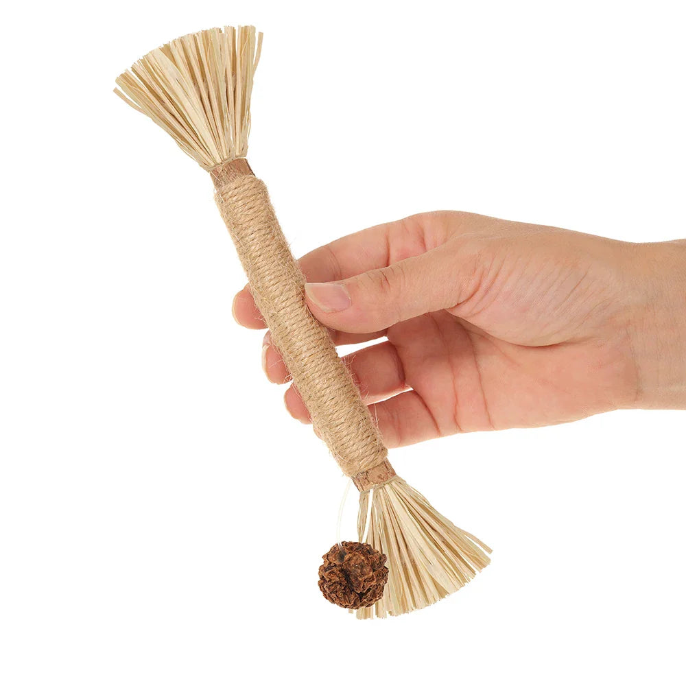 Natural Silvervine (Matatabi) Cat Chew Sticks - Dental Catnip Toy, 8.7 in (22 cm), 1/2/5 Pack