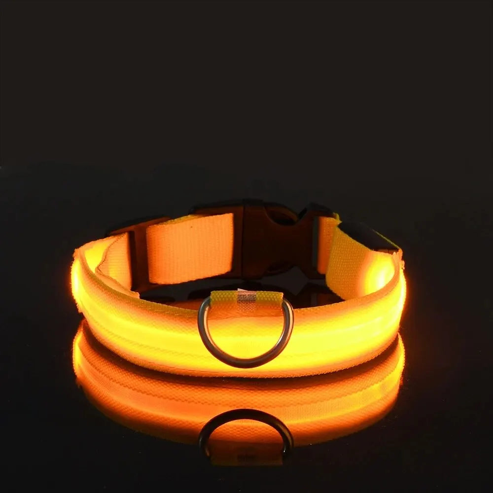 LED Glow Dog Collar – Nylon Luminous Fluorescent Safety Collar with Flashing Lights