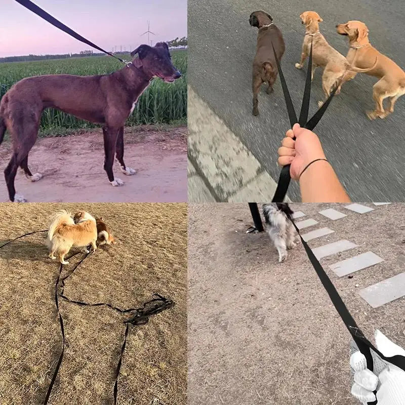 Long Nylon Dog Leash for Dogs & Cats – Strong Training Lead, Multiple Lengths 1.5m–50m (4.9–164 ft) for Walking, Hiking & Travel