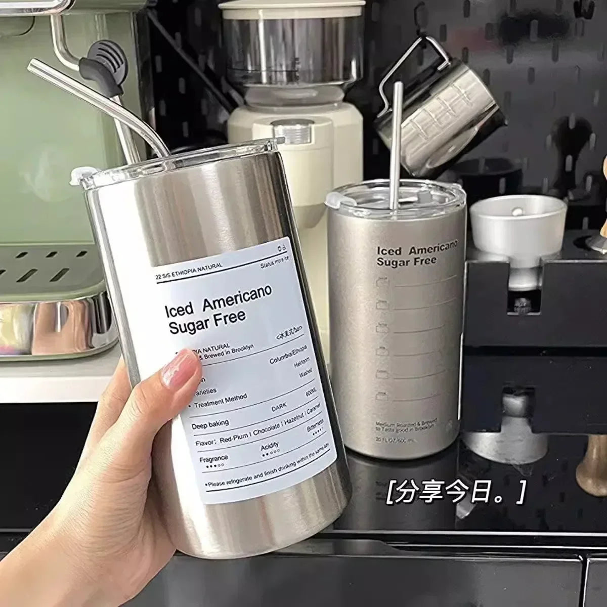 Insulated 304 Stainless Steel Travel Mug with Straw, 600ml (20 fl oz) Leak-Proof Vacuum Bottle