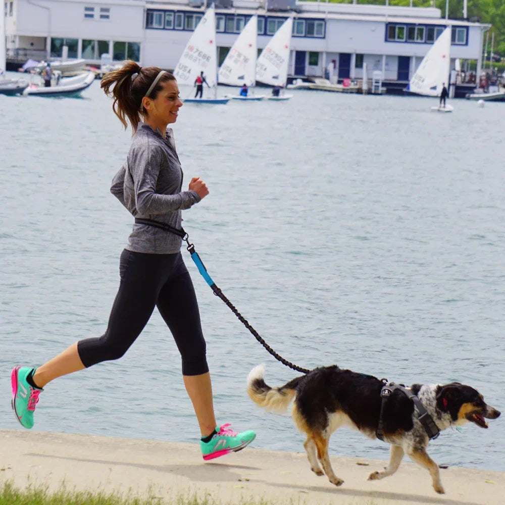 Hands-Free Dog Leash – Adjustable Waist Belt & Chest Strap, Reflective Running Jogging Leash 27.5–47 in (70–120 cm) Waist, 50–70 in (125–180 cm) Leash