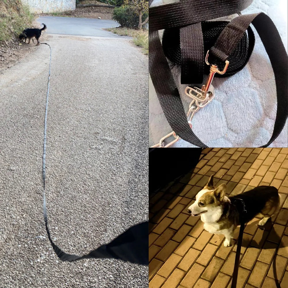 Durable Nylon Dog Leash for Walking & Training — Long Strong Lead for Small to Large Dogs and Cats, Multiple Lengths 1.5–50 m (4.9–164 ft), 2 cm (0.79 in)