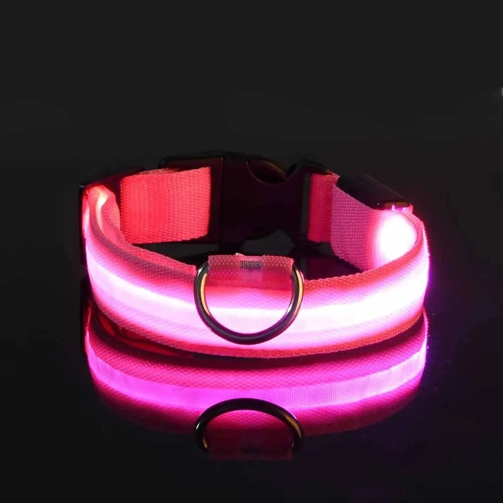 LED Glow Dog Collar – Nylon Luminous Fluorescent Safety Collar with Flashing Lights