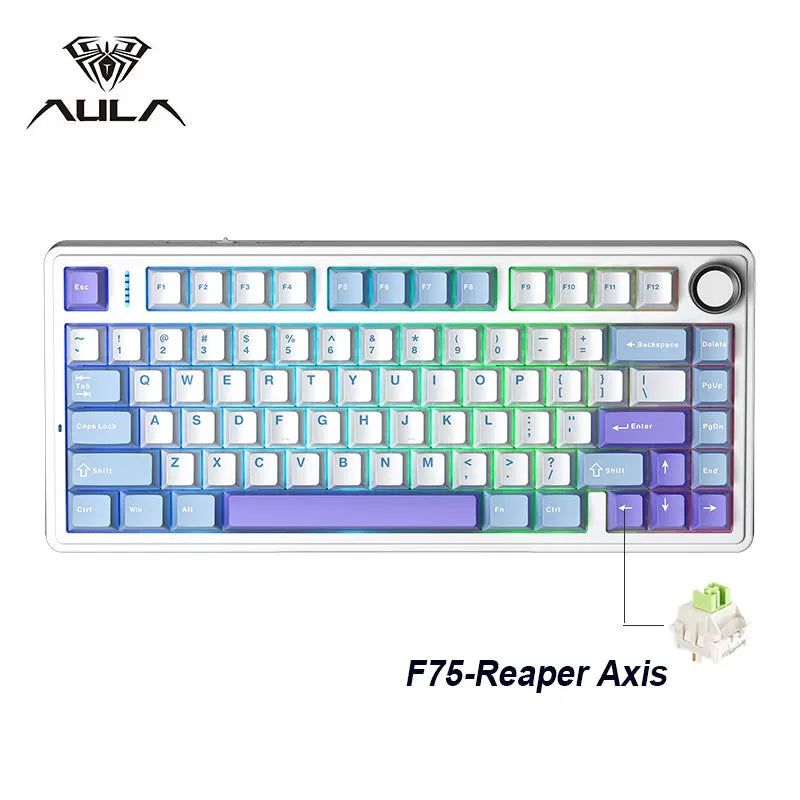 75% RGB Mechanical Gaming Keyboard — 78-Key Hot-Swappable Gasket Mount, 2.4G Wireless/Bluetooth/Wired, OEM Profile