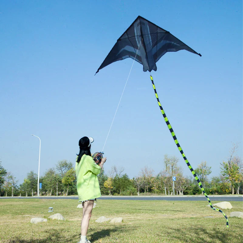2m Delta Aircraft Kite – Large Beach & Camping Kite with 500cm (16.4 ft) Tail and 100M (328 ft) Line — Easy-Fly Foldable Kite for Adults & Teens