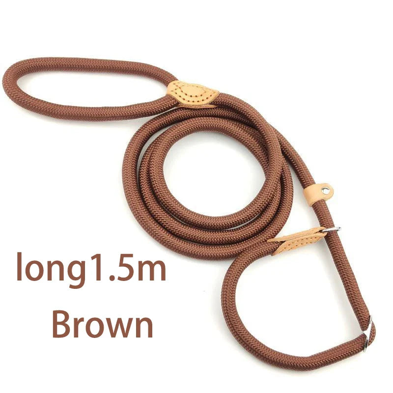 Adjustable Nylon Dog Collar and Harness with Quick-Release Leash, Lightweight Durable Pet Lead for Dogs and Cats