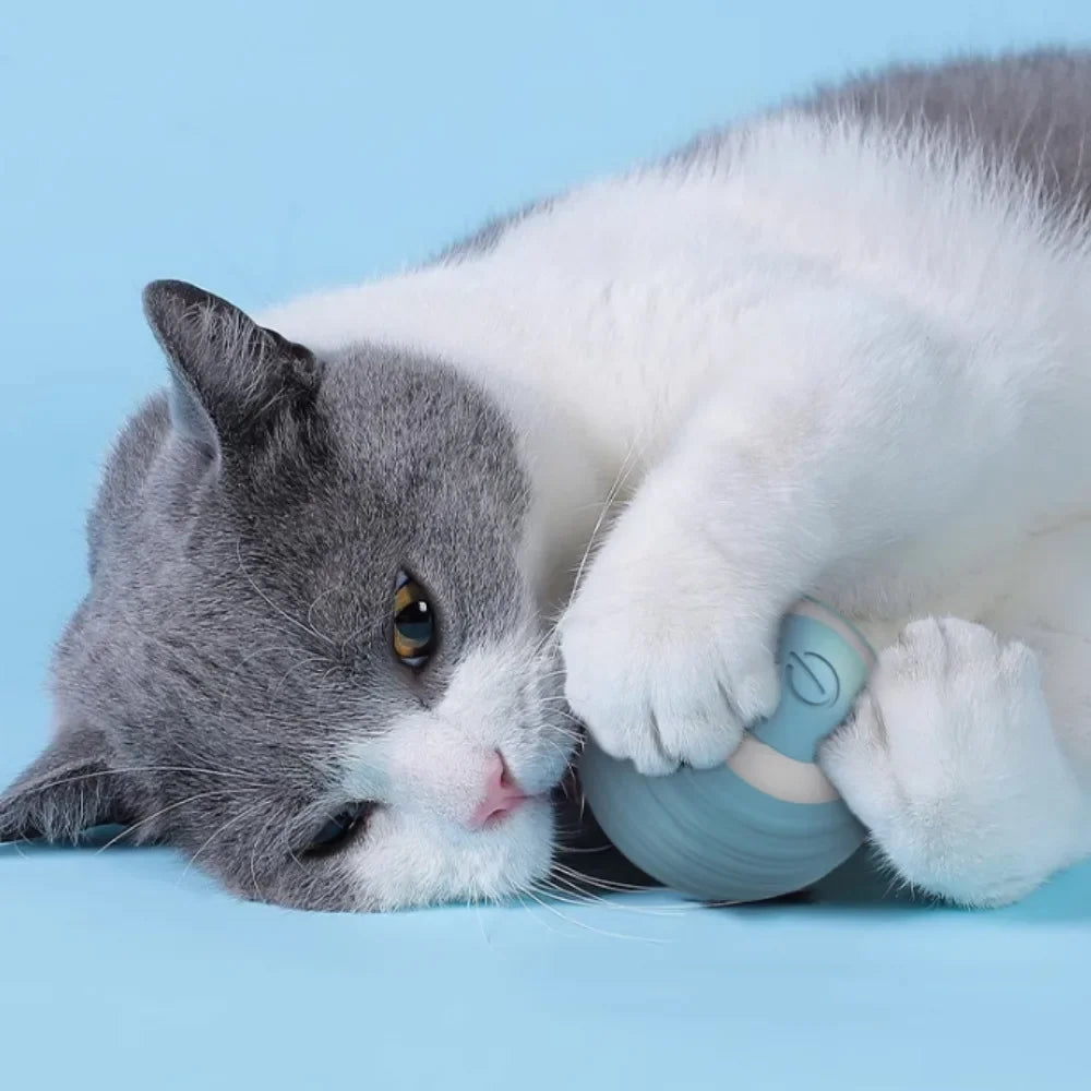 Rechargeable Self-Moving Rolling Ball Cat Toy — Interactive Indoor Toy for Kittens & Cats