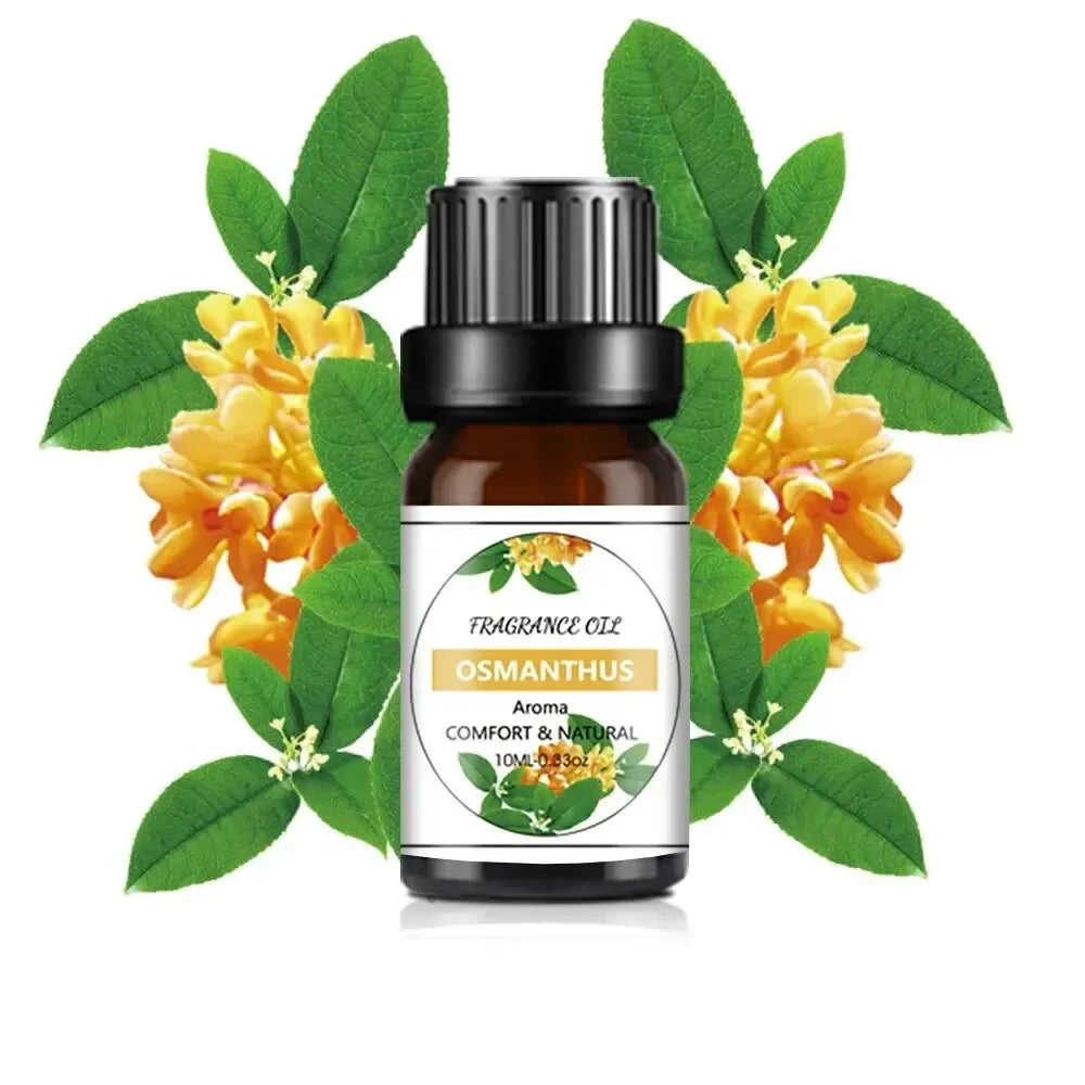Mango Pineapple Fragrance Oil 10ml (0.34 fl oz) Natural Fruit Scent for Diffusers, Candles & Soap Making