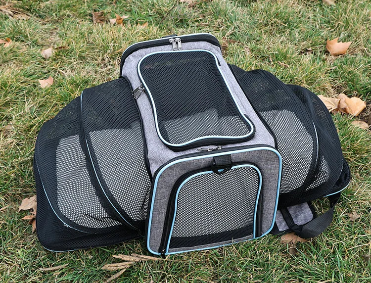 Foldable Mesh Pet Carrier – Expandable Soft-Sided Travel Carrier for Cats & Small Dogs, Breathable Handheld Tote