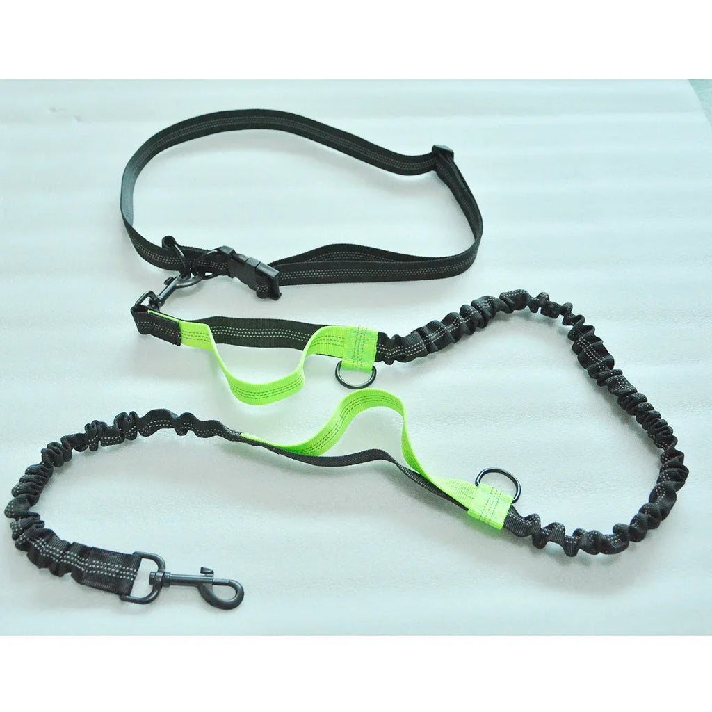 Double Elastic Reflective Hands-Free Running Dog Leash — Retractable Bungee Waist Lead 160–260 cm (63–102 in), Waist 70–120 cm (27–47 in)