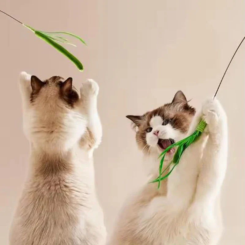 Interactive Feather Teaser Cat Wand – Flexible Wire Durable Feather Pole Pet Toy