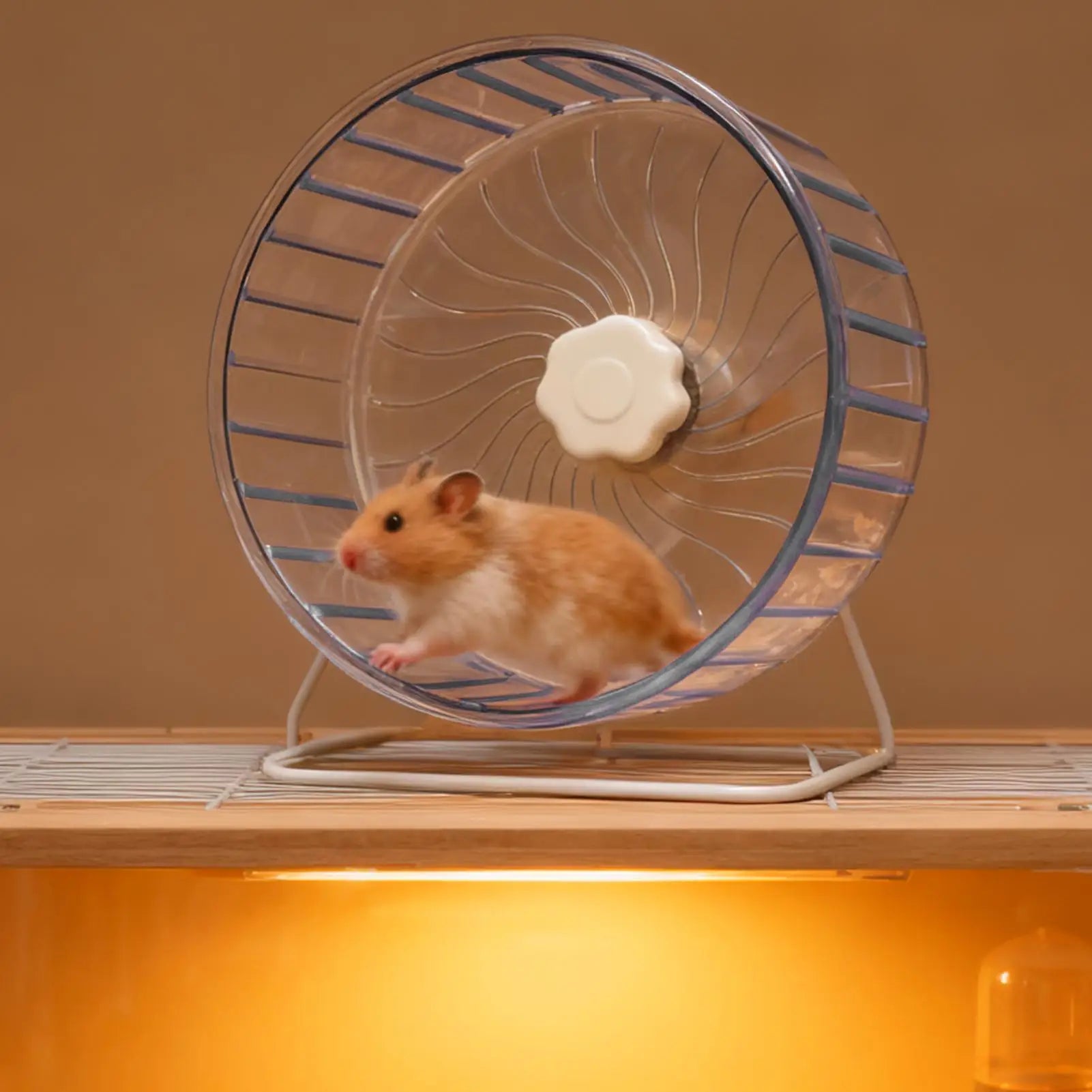 Quiet Double-Bearing Hamster Exercise Wheel 5.5 in (14 cm), Running Wheel for Hamsters Mice Gerbils
