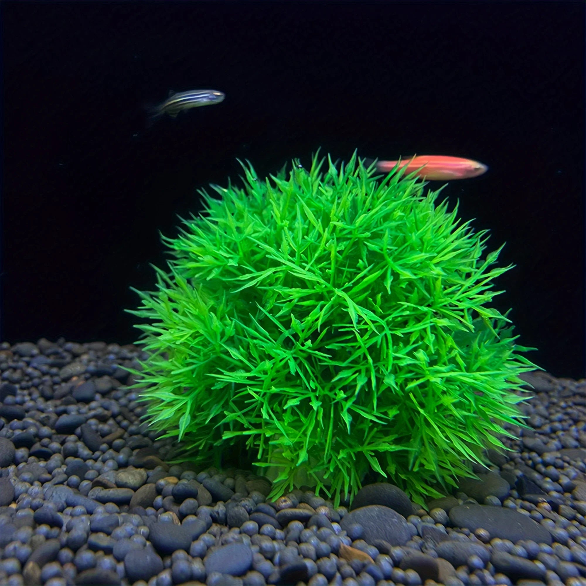 Faux Aquarium Grass Ball – Fade-Resistant Artificial Water Plant for Fish Tank Decor
