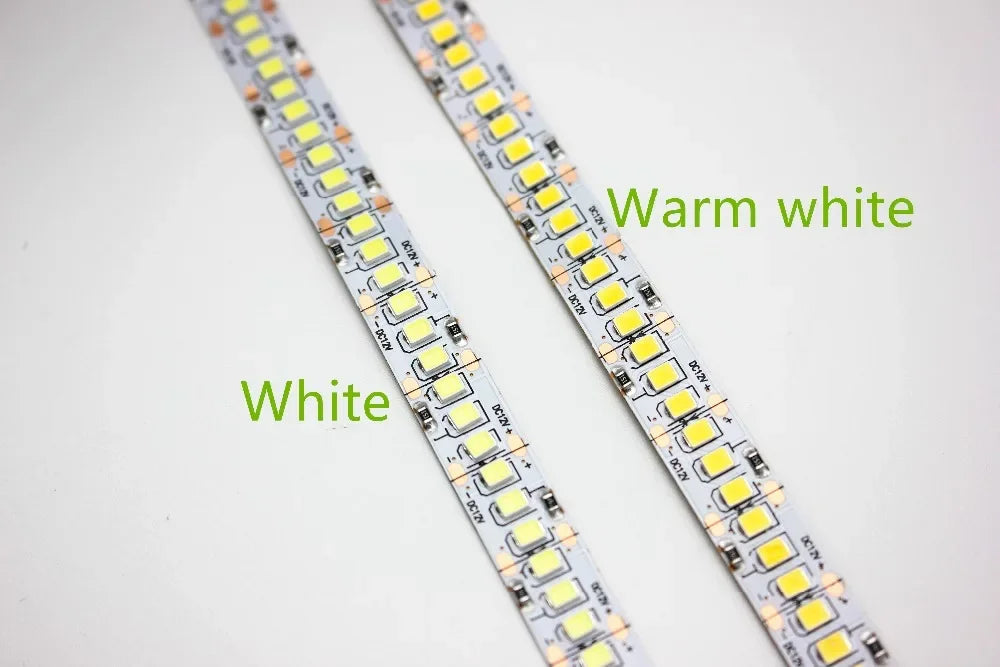 LED Strip Light 10mm PCB SMD2835 240 LEDs/m 1–5m (3.3–16.4 ft) DC12V/24V IP20 Non-Waterproof Flexible White/Warm White