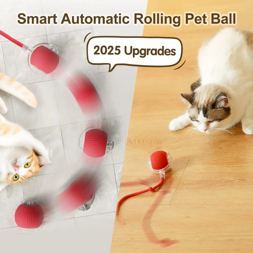 Interactive Rechargeable Cat Ball Toy with Faux Fur Tail — Automatic Rolling Smart Pet Ball (USB-C) for Cats & Small Dogs