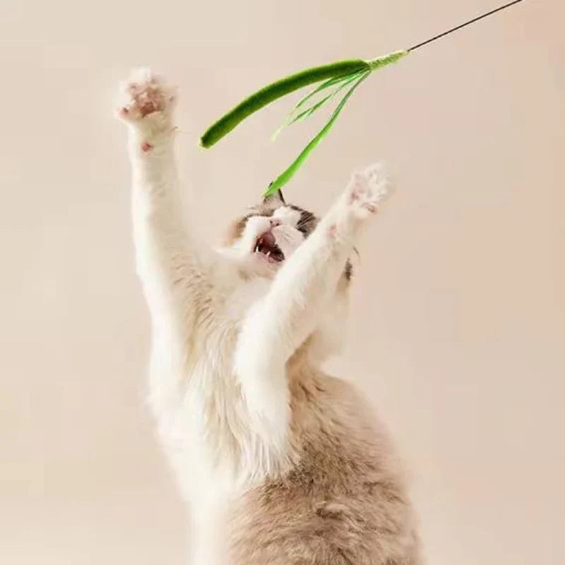 Interactive Feather Teaser Cat Wand – Flexible Wire Durable Feather Pole Pet Toy