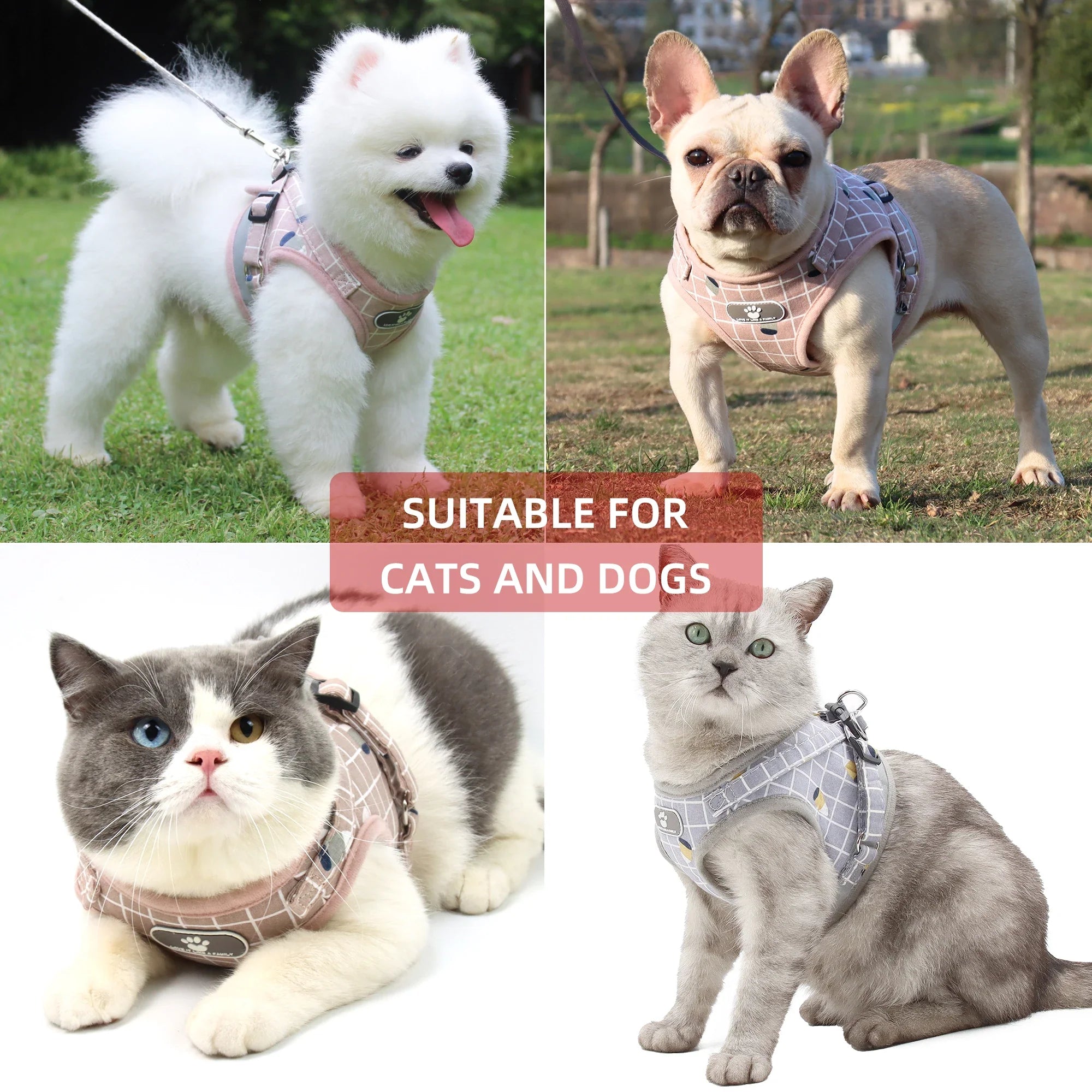Adjustable Breathable Pet Harness with Reflective Leash for Puppies, Small Dogs & Cats