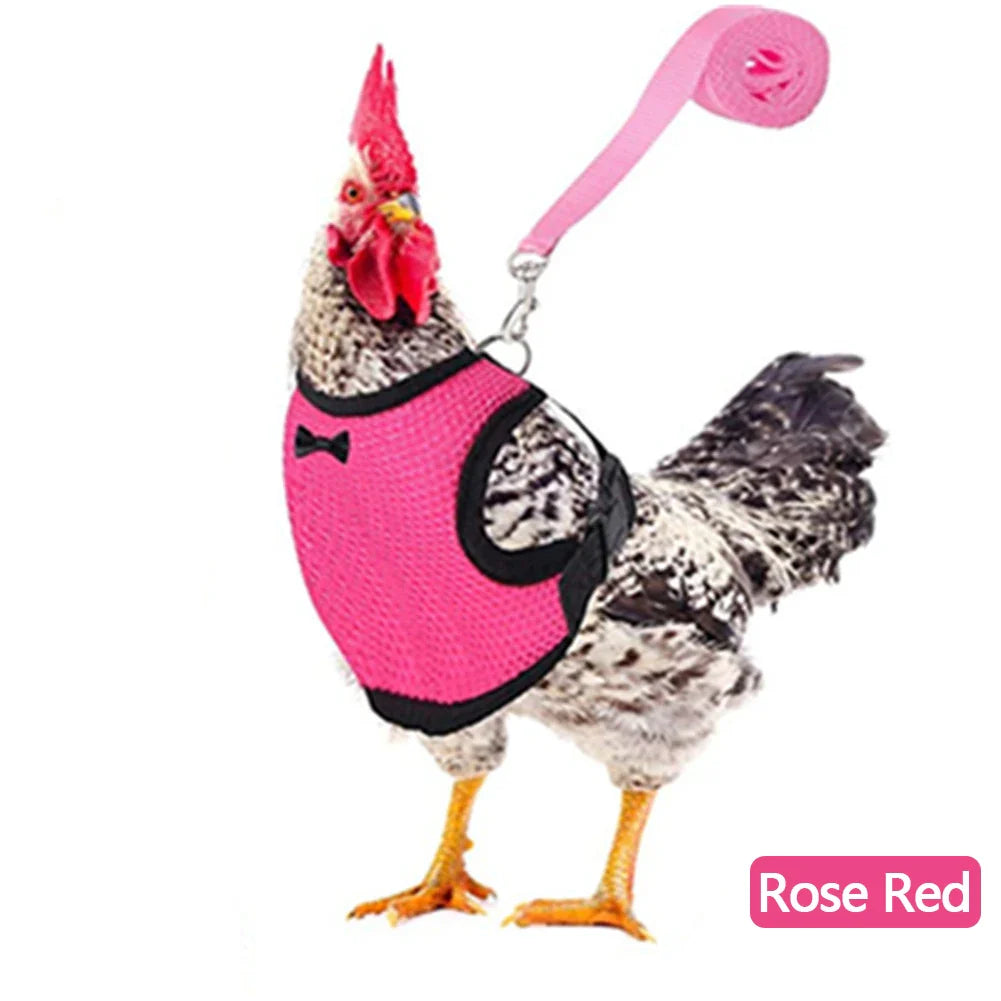 Adjustable Mesh Chicken and Duck Harness Vest with Leash Breathable Poultry Harness XS-XL