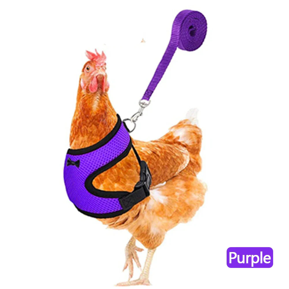 Adjustable Mesh Chicken and Duck Harness Vest with Leash Breathable Poultry Harness XS-XL