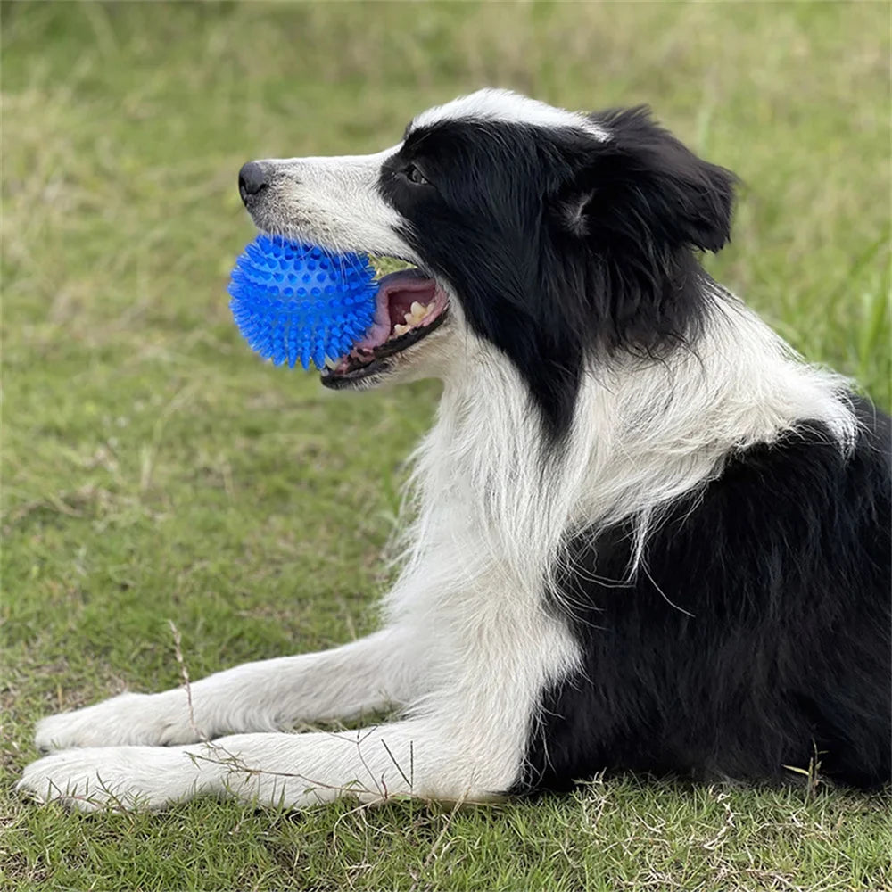 TPR Squeaky Thorn Chew Ball for Dogs & Cats — Teeth Cleaning Puppy Training Toy